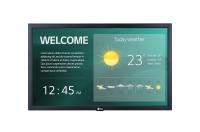 Стандартный дисплей 22" LG (22SM3G-B)