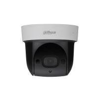 IP-камера Dahua DH-SD29204T-GN-W